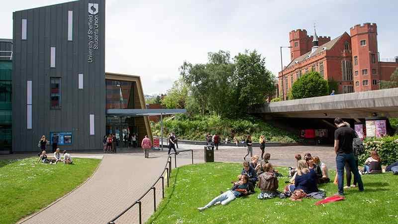 Sheffield dental school