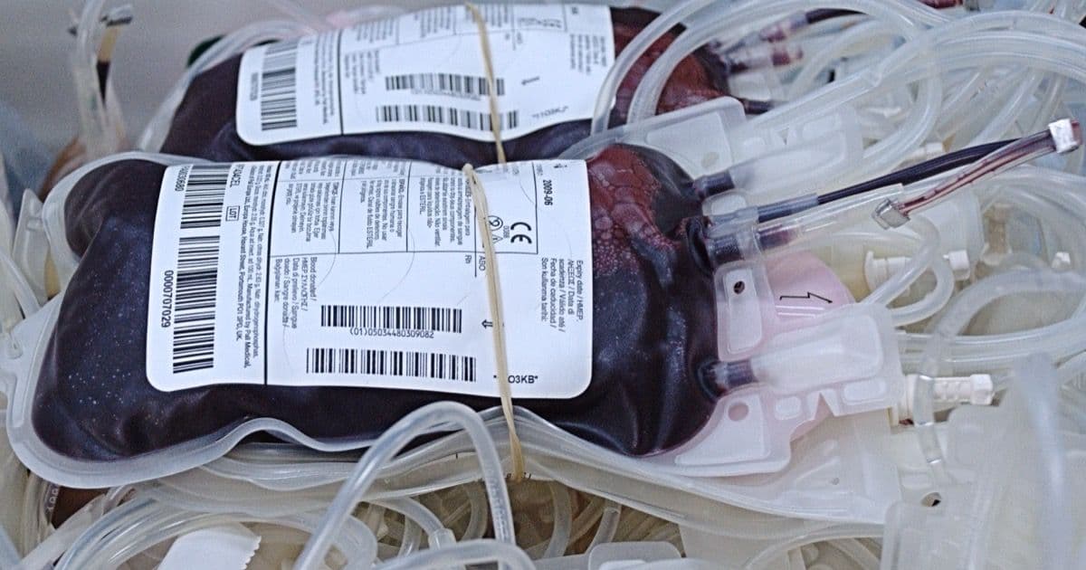 Bags of donated blood with their labels and tubing, stored in a tray